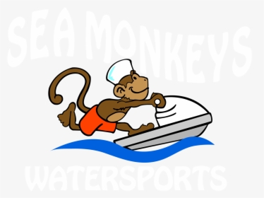Clip Art Sea Monkeys Watersports Boat, HD Png Download, Free Download