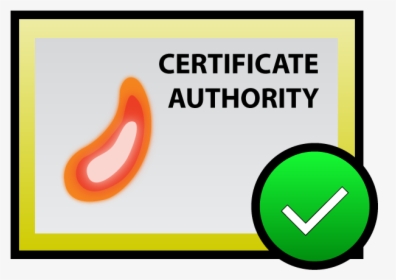 Certificate, HD Png Download, Free Download