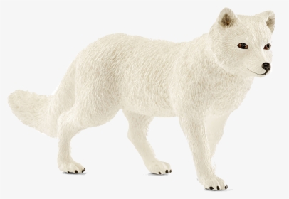Transparent Baby Fox Clipart Black And White - Canis Lupus Tundrarum, HD Png Download, Free Download