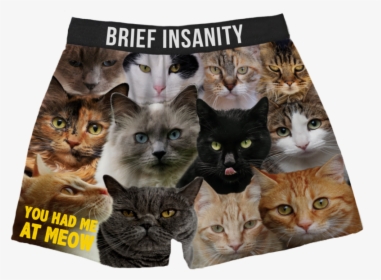 Cats Boxer Shorts You Had Me At Meow, HD Png Download, Free Download