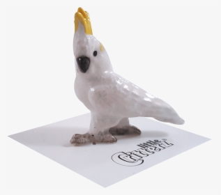 Transparent Cockatoo Png - Cockatiel, Png Download, Free Download