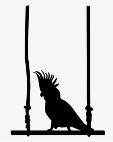 Parrot, Bird, Swing, Cockatoo - Bird On Swing Png, Transparent Png, Free Download
