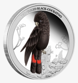 Australia 2013 50 Cents Red Tailed Black Cockatoo Birds - Red Tailed Black Cockatoo Art, HD Png Download, Free Download