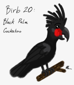 Black Palm Cockatoo - Black Palm Cockatoo Cartoon, HD Png Download, Free Download