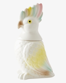 Cockatoo, HD Png Download, Free Download