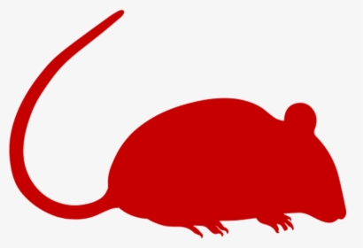 Clipart Rat Harmful Animal - Black And White Rat Png, Transparent Png, Free Download