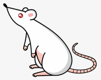Dangers Of Mice And Rats - Cartoon, HD Png Download, Free Download