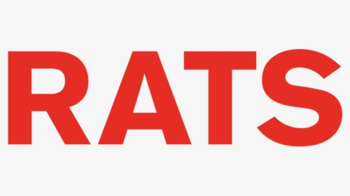 Rats, HD Png Download, Free Download