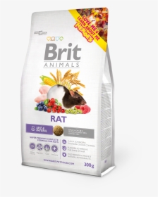 Brit Rabbit Adult, HD Png Download, Free Download