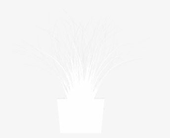 Bush Pot Plant White Clipart Png - Fireworks, Transparent Png, Free Download