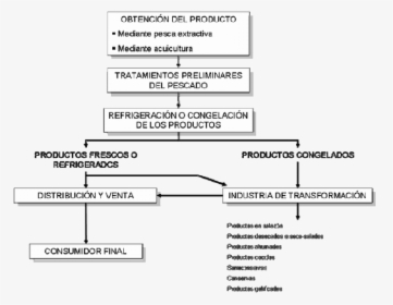 Proceso Productivo De La Industria Pesquera, HD Png Download, Free Download