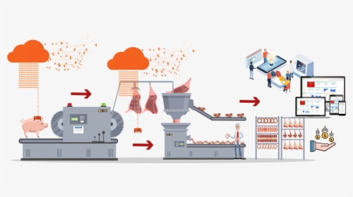 Proceso De Producción De Carne , Png Download - Slaughtering Process Diagram Cartoon, Transparent Png, Free Download