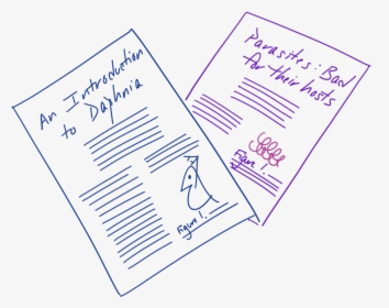 Document, HD Png Download, Free Download