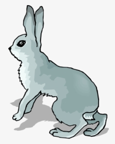 Arctic Hare Snowshoe Hare European Hare Clip Art - Transparent Rabbit Clipart Gif, HD Png Download, Free Download