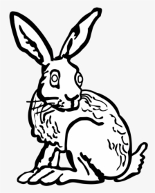 Transparent Hare Png - Rabbit Draw Art, Png Download, Free Download