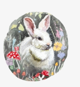 Snowshoe Hare , Png Download - Snowshoe Hare, Transparent Png, Free Download