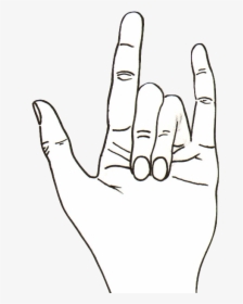 Contour Hand Drawing, HD Png Download, Free Download