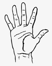 Hand Free Clipart Best On Transparent Png Outline Hand Clipart Png Download Kindpng