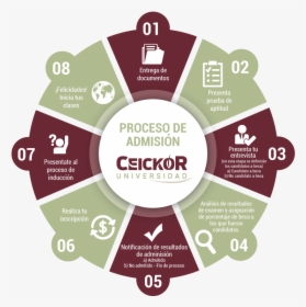 Ceickor Proceso De Admision - Branding Services In Uae, HD Png Download, Free Download