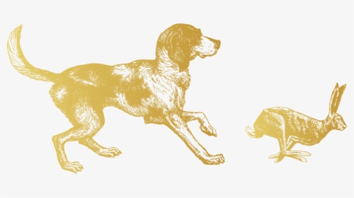 Hare Gold - Gravure Chien, HD Png Download, Free Download
