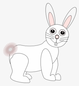 Rabits And Hares,carnivoran,hare - Domestic Rabbit, HD Png Download, Free Download