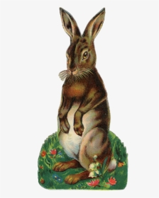 Antique Hare Illustration Rabbit Easter Bunny Clipart - Rabbit Face Vintage Illustration, HD Png Download, Free Download