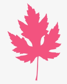 Silver Maple Leaf Silhouette, HD Png Download, Free Download
