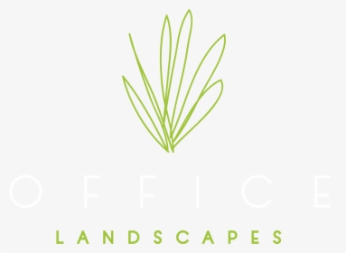 Brand Identity, Graphic Design, And Print For Office - Grass, HD Png Download, Free Download