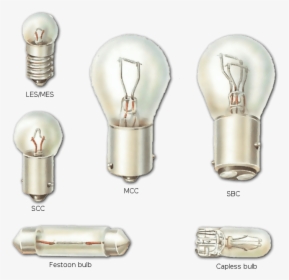 Different Types Of Car Bulbs, HD Png Download, Free Download