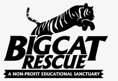 Big Cat Rescue Tampa Logo, HD Png Download, Free Download