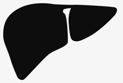 Failure Computer Liver Icons Free Hd Image Clipart - Liver Noun Project, HD Png Download, Free Download