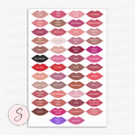 Lipsense 50 Lip Color Lipstick Kisses Professional - Lip Color Chart, HD Png Download, Free Download