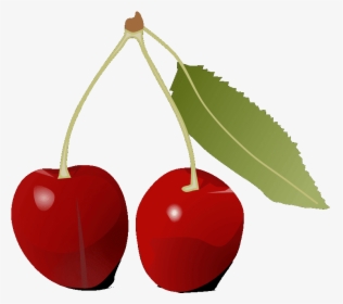 Wild Cherry Clipart - Cherry, HD Png Download, Free Download