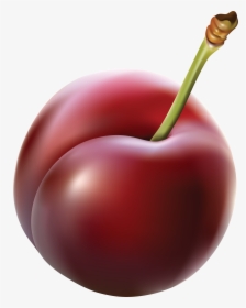 Plum - Plum Clipart Png, Transparent Png, Free Download