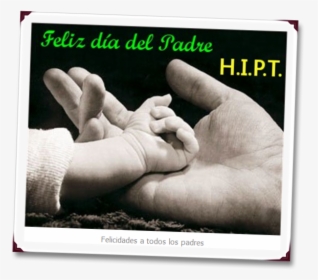 Childs Hand In Fathers Hand, HD Png Download, Free Download