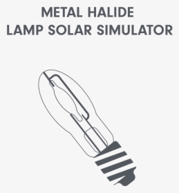 Transparent Light Bulb Outline Png - Compact Fluorescent Lamp, Png Download, Free Download