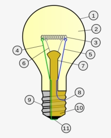 Christmas Light Bulb Outline - Parts Of An Incandescent Light Bulb, HD Png Download, Free Download
