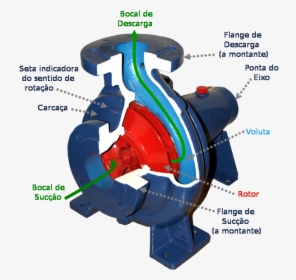 Centrifugal Pump Pt - Centrifugal Pump Cut Section, HD Png Download, Free Download