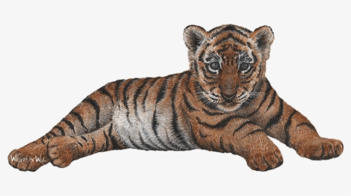 Tiger Wall Decal Sticker - Tiger With Cub Png, Transparent Png, Free Download
