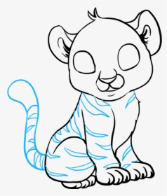 How To Draw Baby Tiger - Baby Tiger Drawing Easy, HD Png Download, Free Download