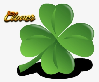 Clover Png Pic, Transparent Png, Free Download