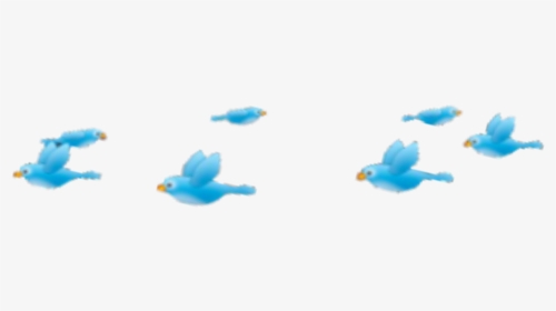 #birds #dizzy #effect #cool #tumblr #blue #crown - Bath Toy, HD Png Download, Free Download
