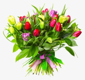 Tulips For 8 March, HD Png Download, Free Download