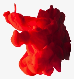 Garden Roses, HD Png Download, Free Download