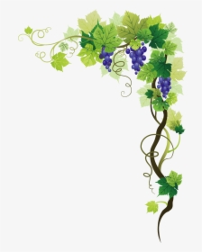 Common Grape Vine Picture Frame Clip Art - Grape Vine Transparent Background, HD Png Download, Free Download