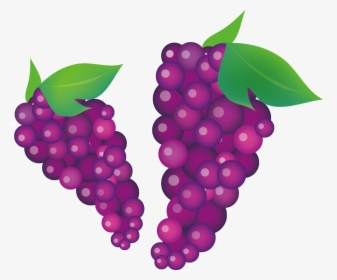 Transparent Green Grapes Clipart - Grape Vector, HD Png Download, Free Download