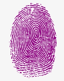 Fingerprint Forensic Science Analysis - Purple Fingerprint Png, Transparent Png, Free Download