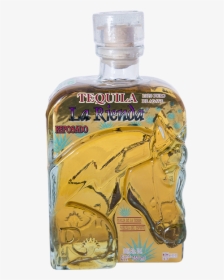 Tequila Rubio, HD Png Download, Free Download
