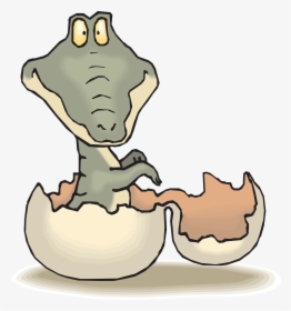 Alligator Hatching Clip Art, HD Png Download, Free Download