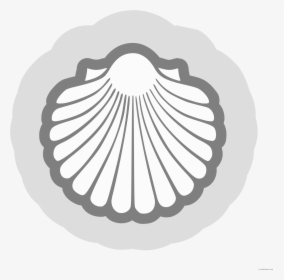 Shell Vector Png - Vector Scallop Shell, Transparent Png, Free Download